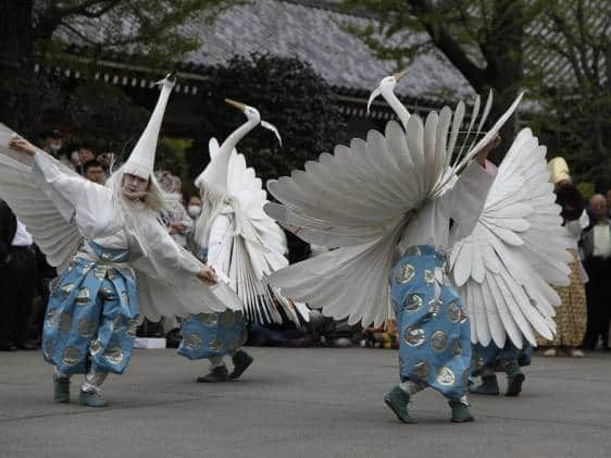 Latest Highlights on Tokyo Events and Cherry Blossoms: A Comprehensive Round-Up